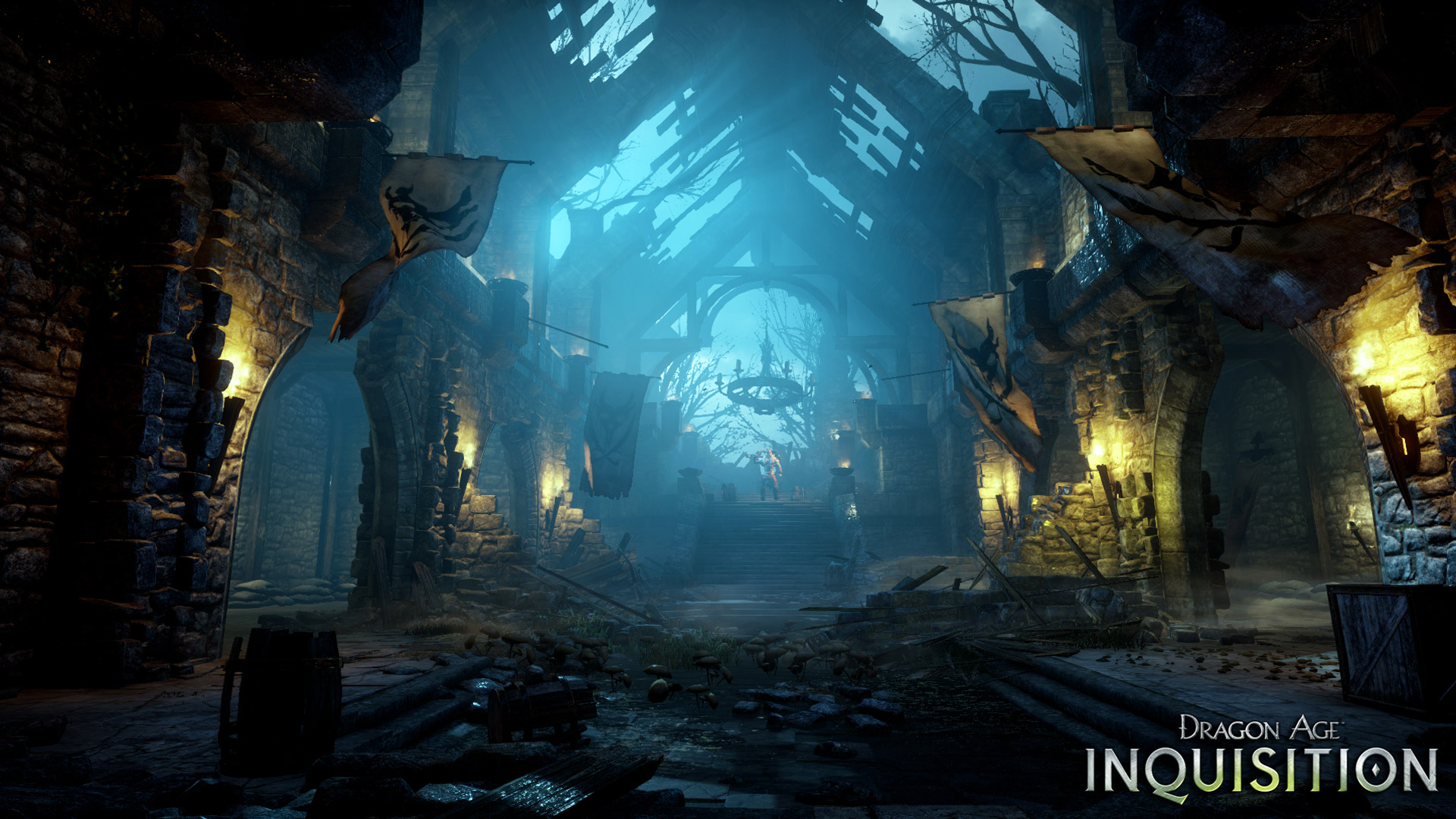 Detail Dragon Age Inquisition Wallpaper Nomer 54