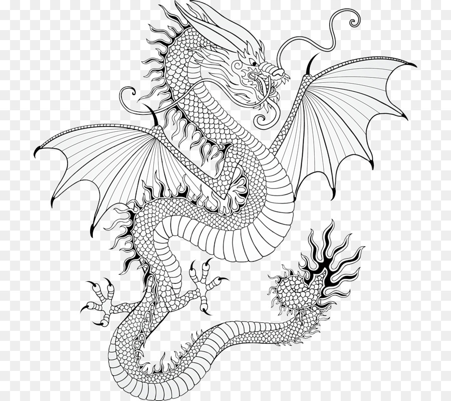 Detail Dragon Drawing Png Nomer 4