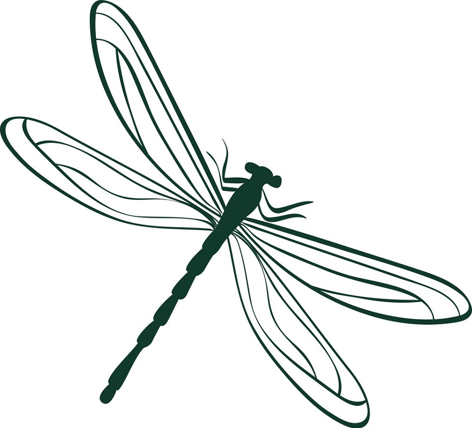 Detail Dragon Fly Clipart Nomer 20