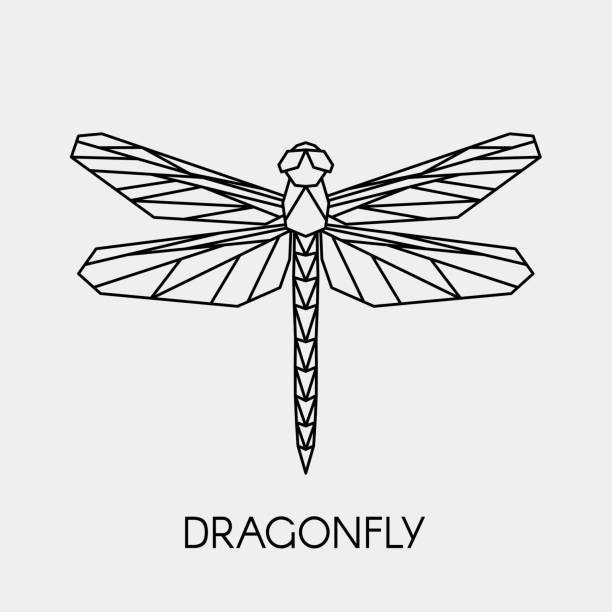 Detail Dragon Fly Pictures Nomer 43