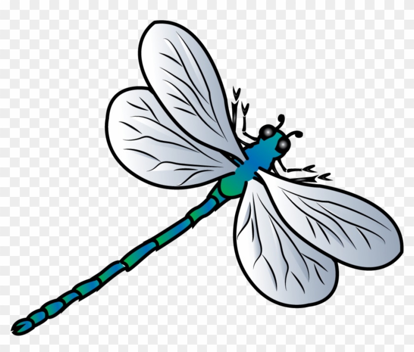 Detail Dragon Fly Png Nomer 33