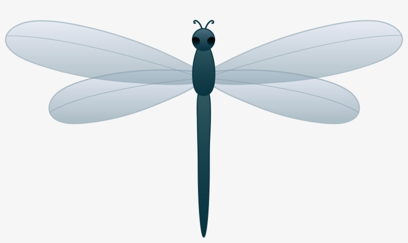 Detail Dragon Fly Png Nomer 41