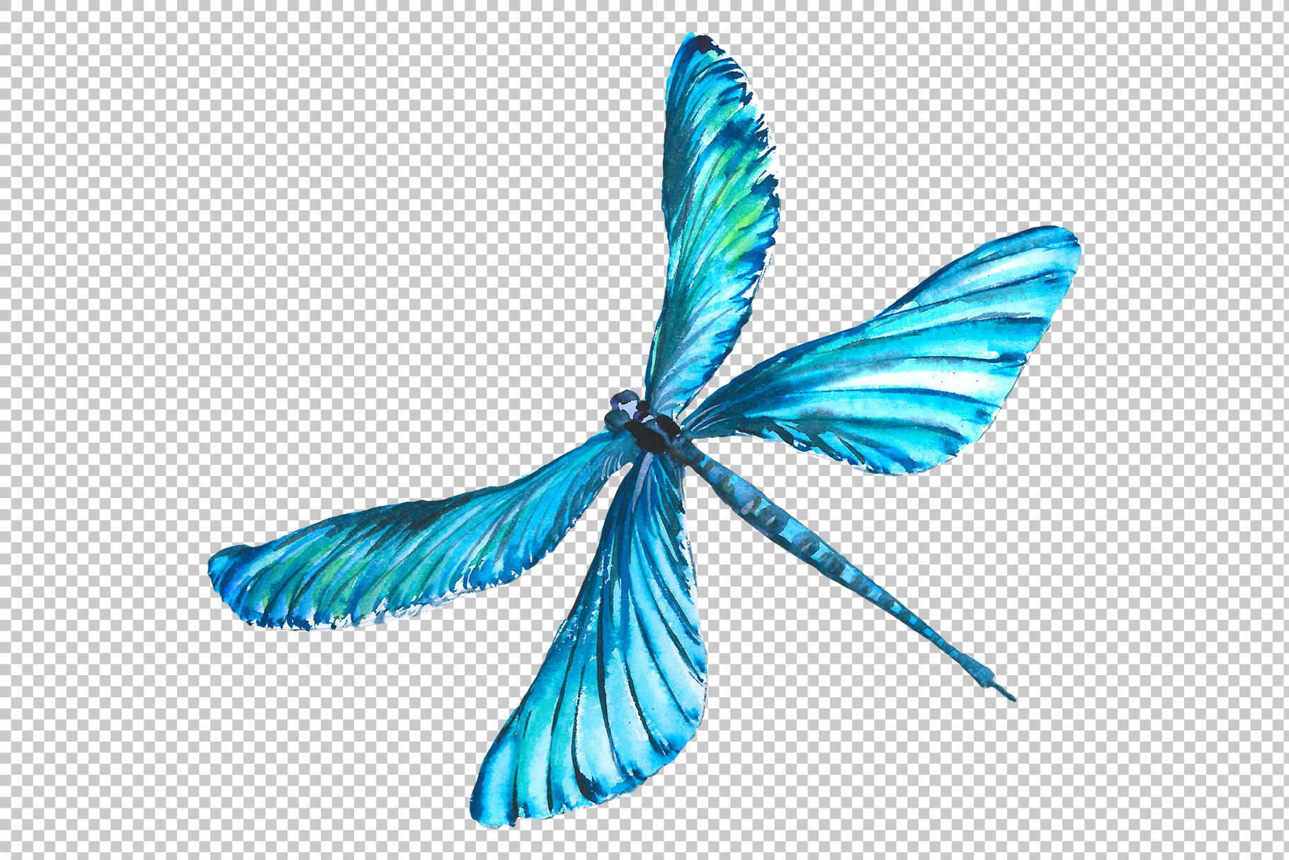 Detail Dragon Fly Png Nomer 51