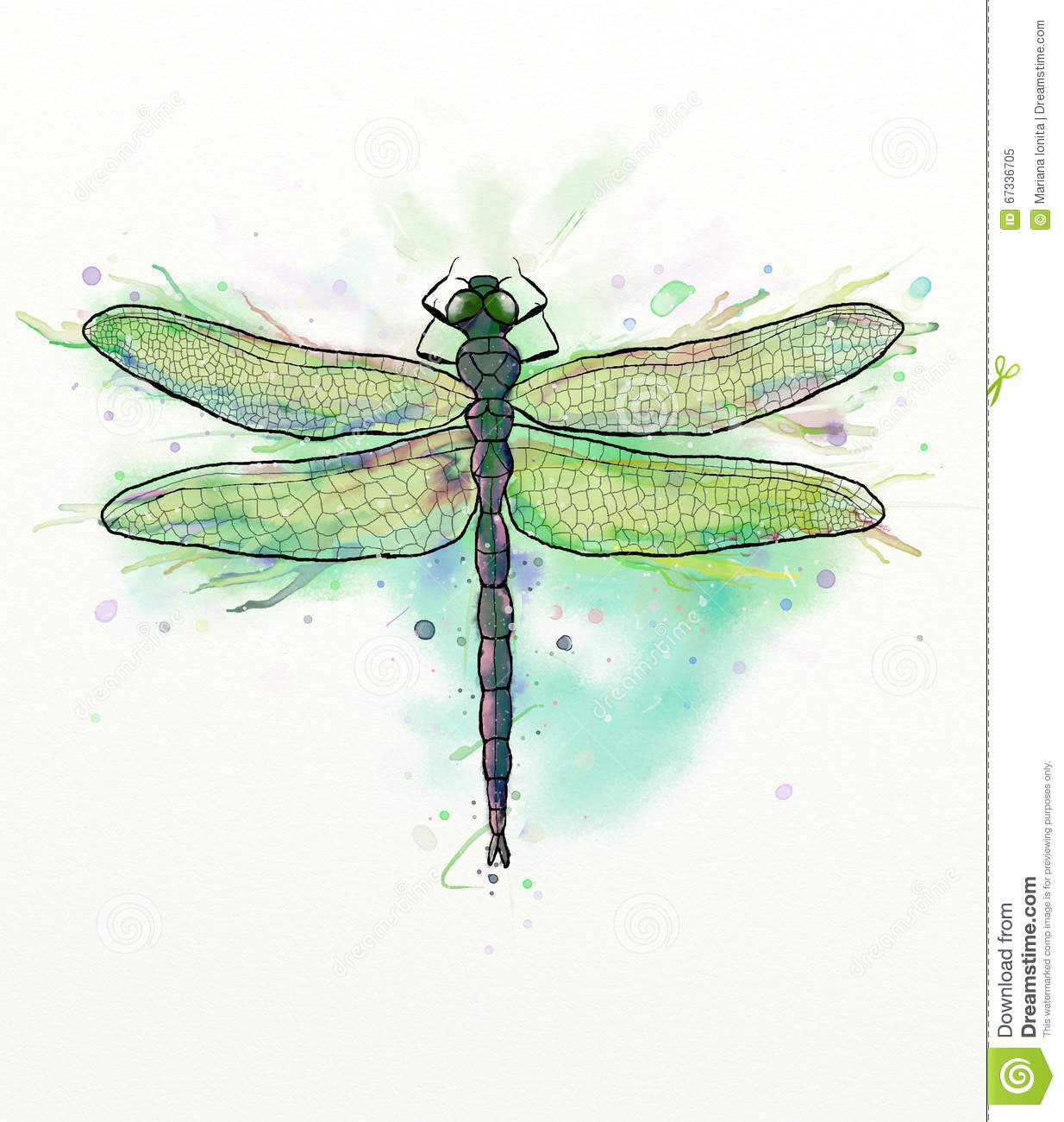 Detail Dragon Fly Png Nomer 53