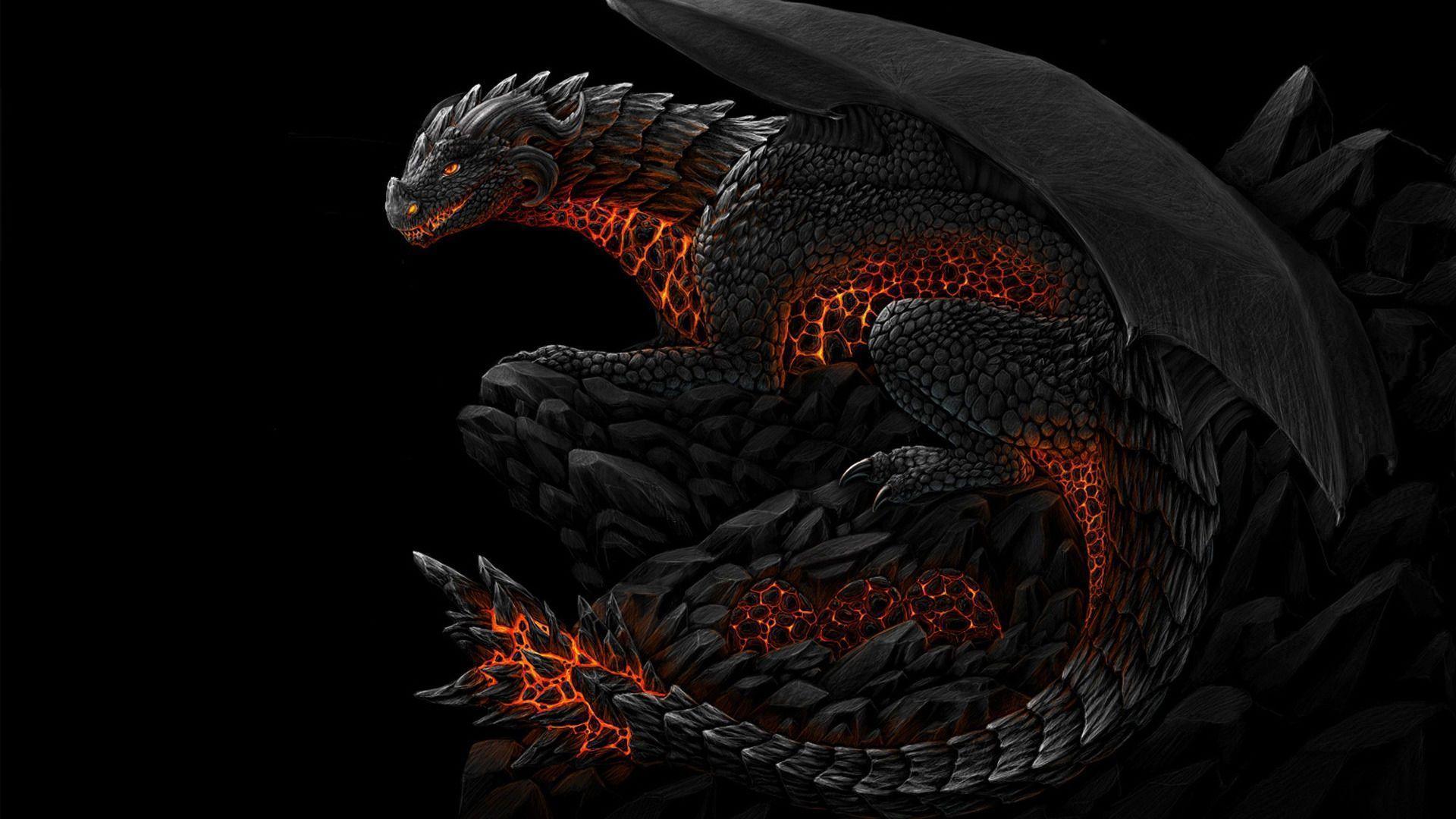 Detail Dragon Hd Image Nomer 17