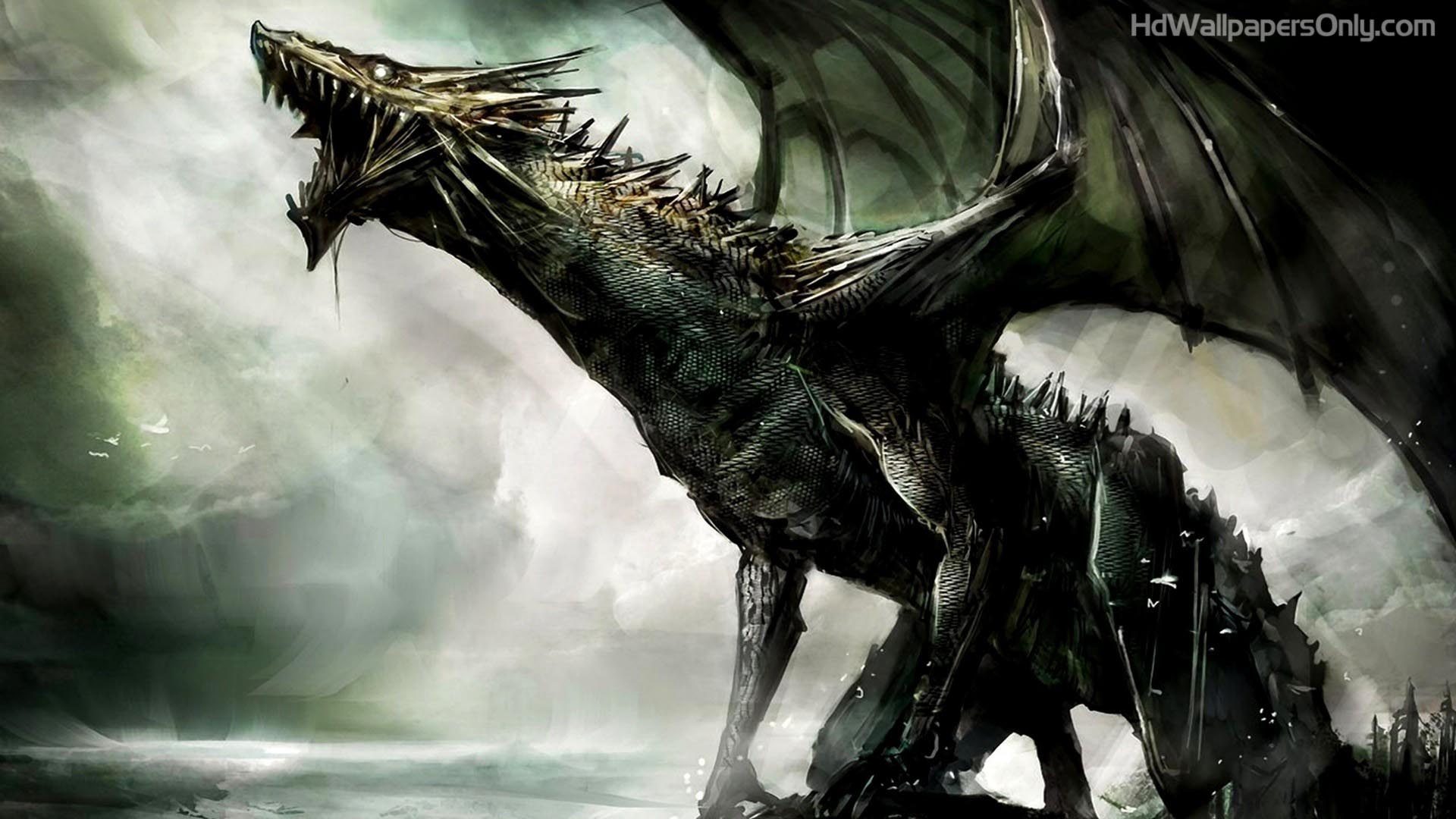 Dragon Hd Wallpaper - KibrisPDR