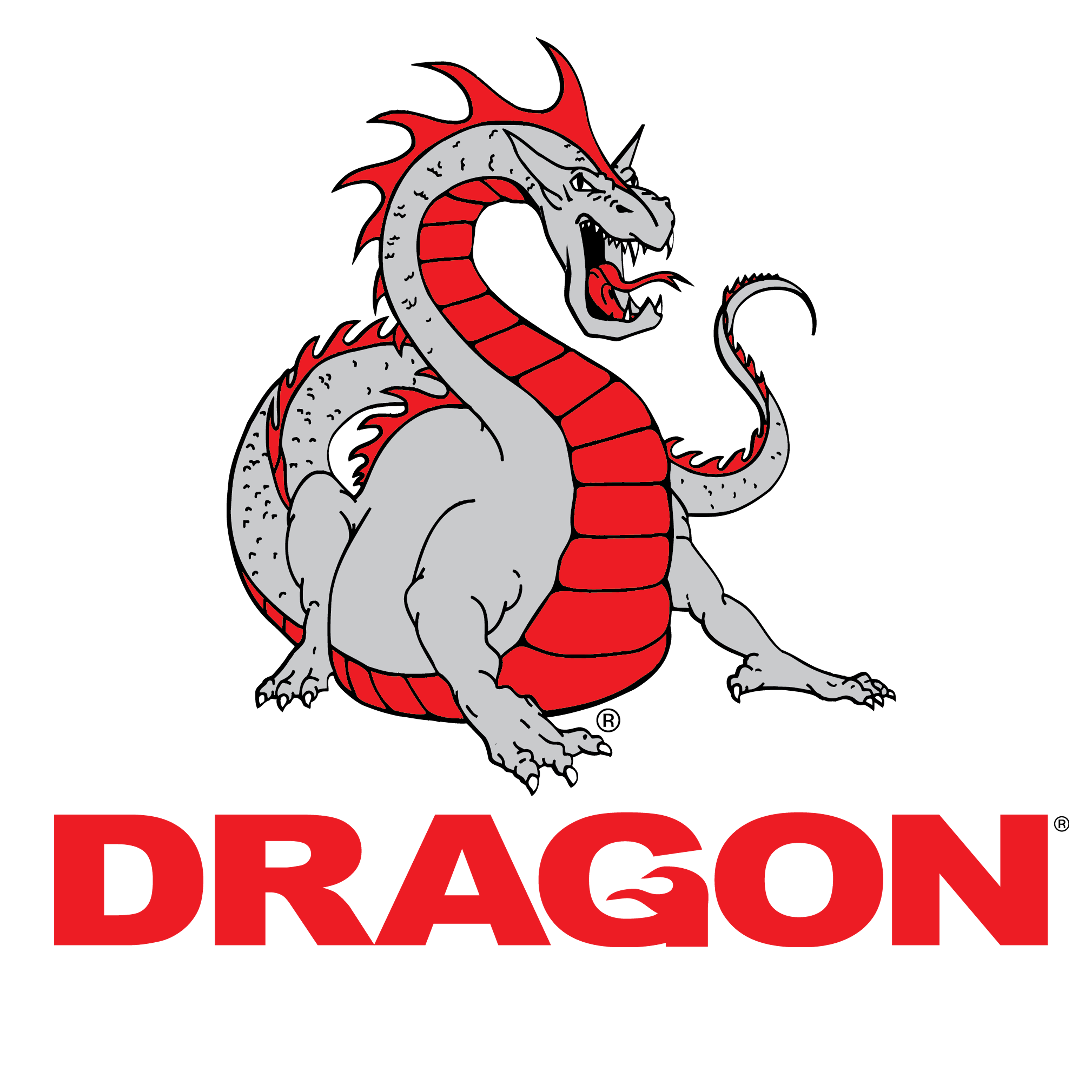Detail Dragon Image Nomer 45