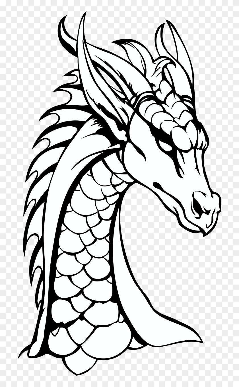 Detail Dragon Image Black And White Nomer 46