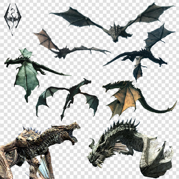 Detail Dragon Image Free Download Nomer 33