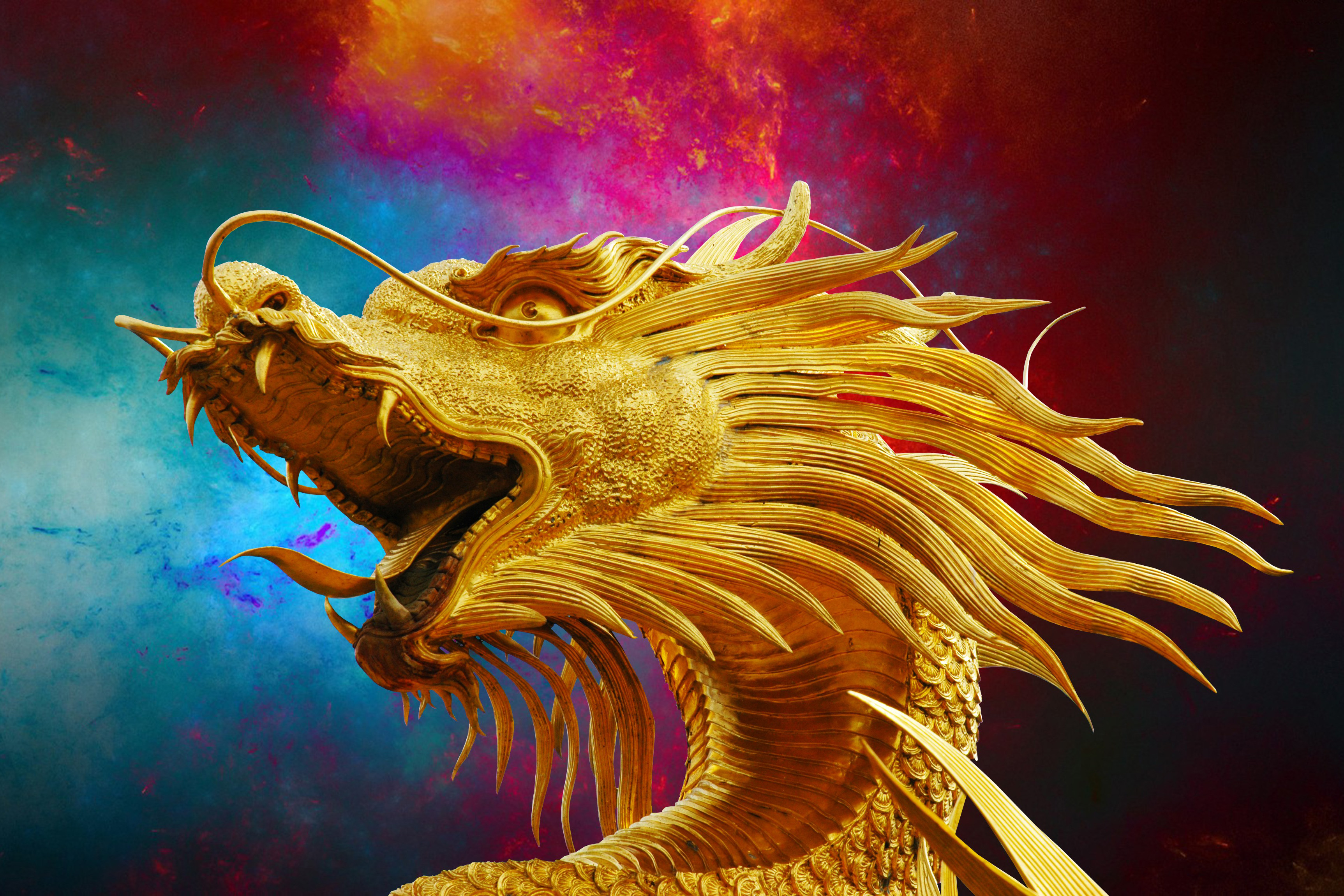 Detail Dragon Image Free Download Nomer 40