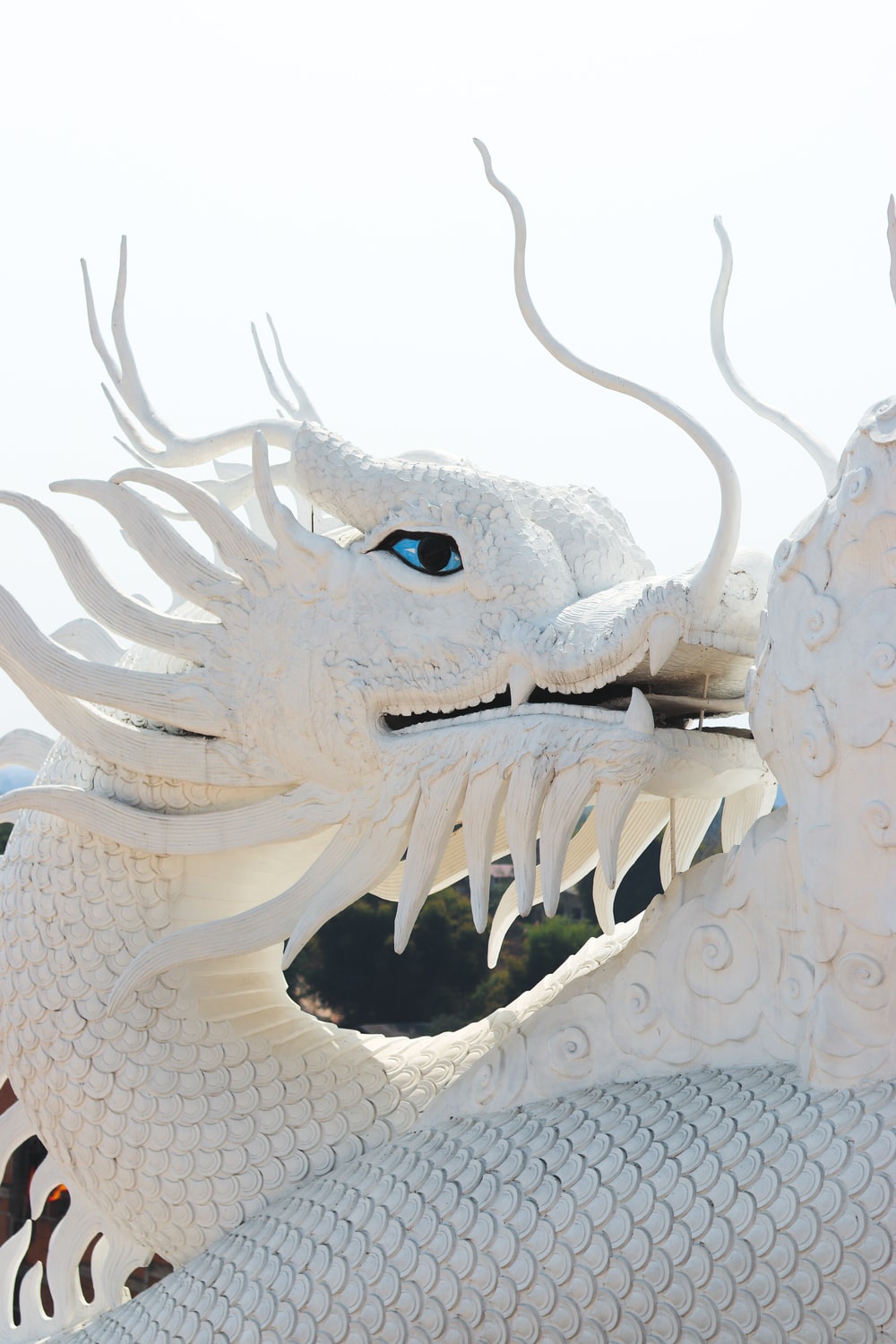 Detail Dragon Image Free Download Nomer 9