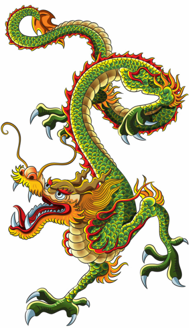 Detail Dragon Kung Fu Nomer 17