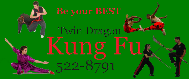 Detail Dragon Kung Fu Nomer 25