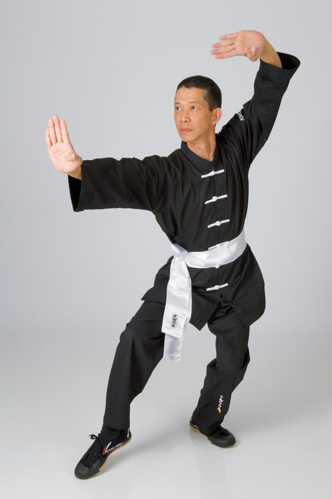 Detail Dragon Kung Fu Nomer 27