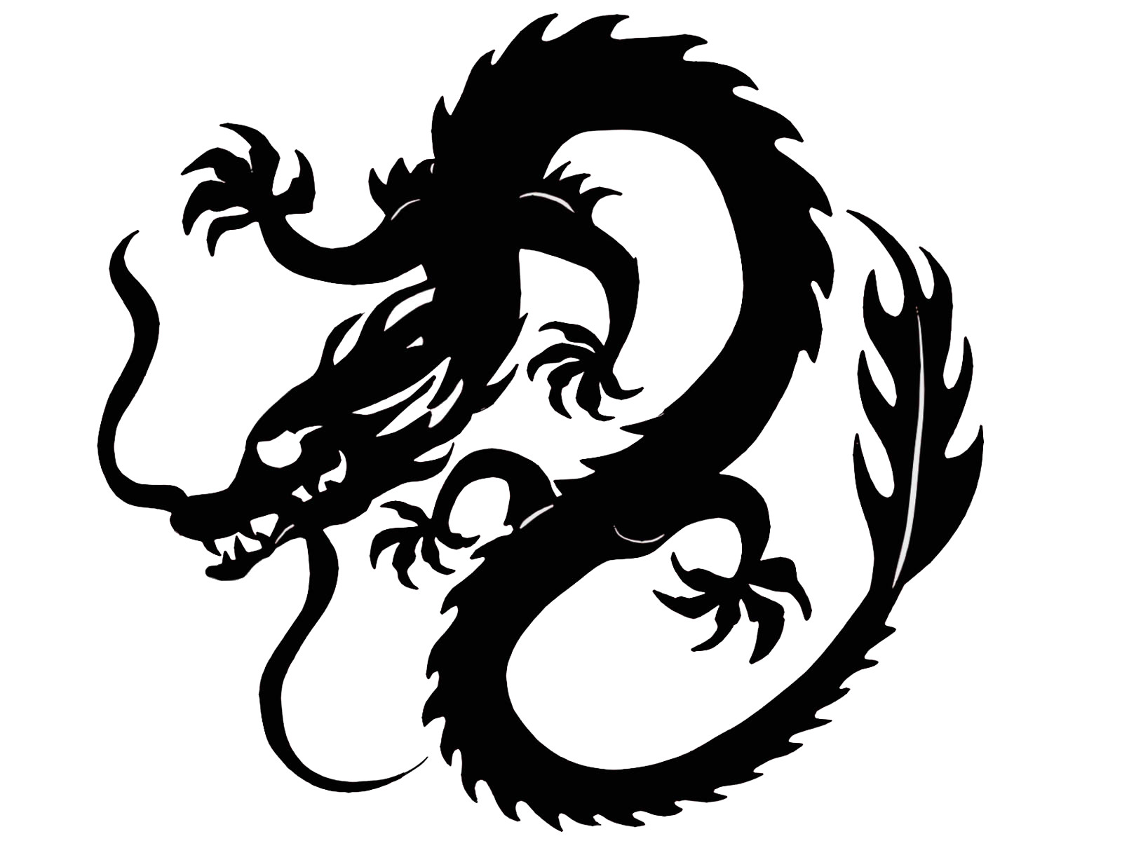 Detail Dragon Kung Fu Nomer 39