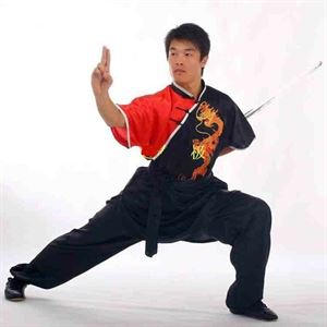 Detail Dragon Kung Fu Nomer 43