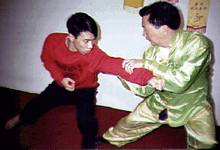 Detail Dragon Kung Fu Nomer 47