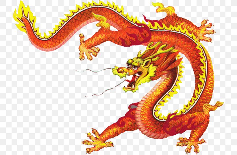 Detail Dragon Kung Fu Nomer 48
