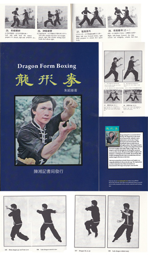 Detail Dragon Kung Fu Nomer 50