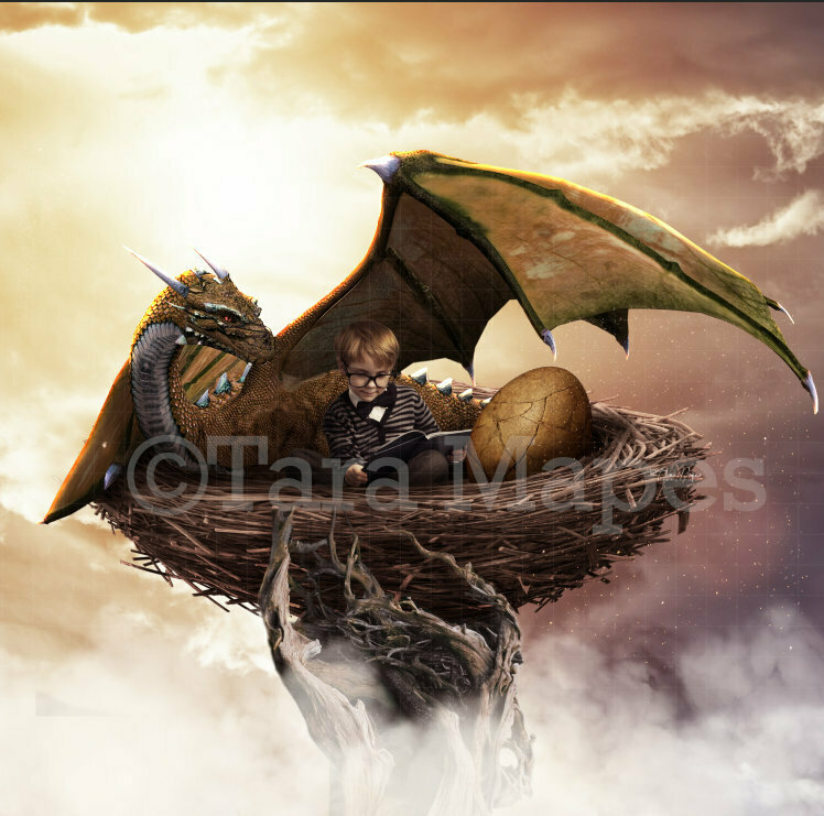 Detail Dragon Nest Background Nomer 9