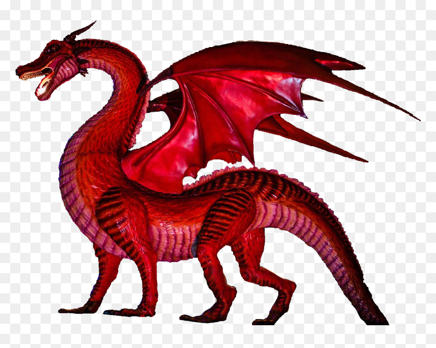 Detail Dragon No Background Nomer 19