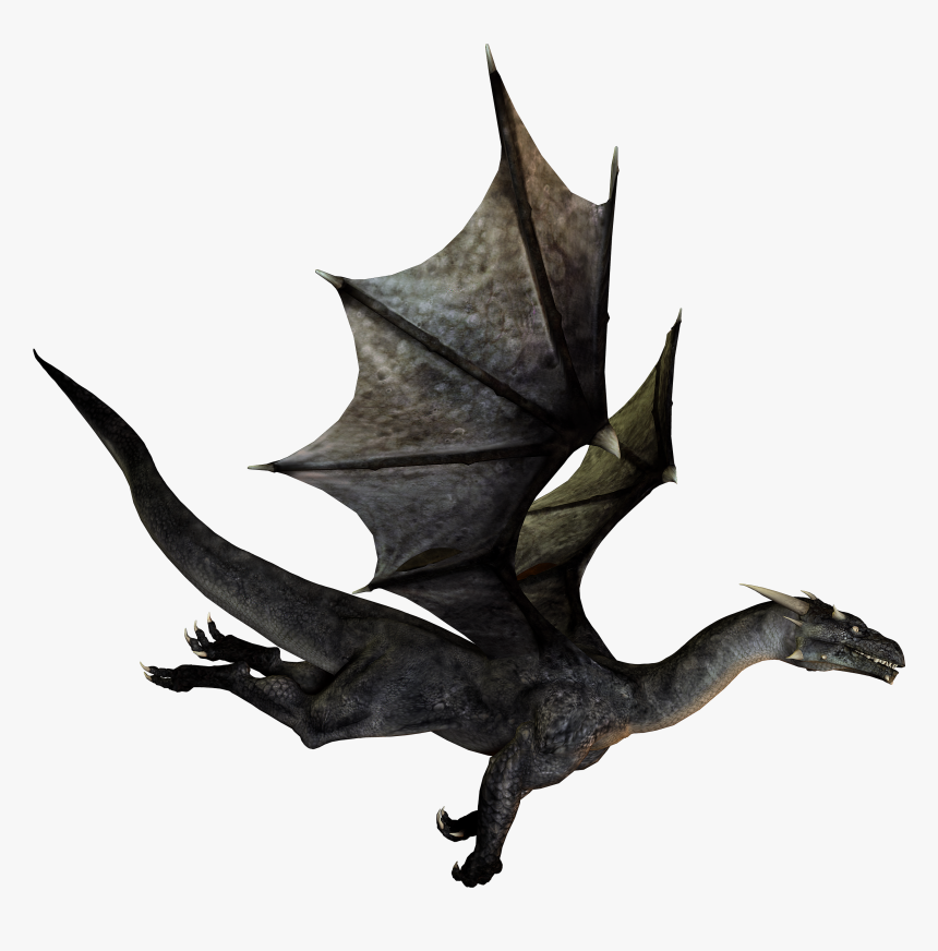Detail Dragon No Background Nomer 3