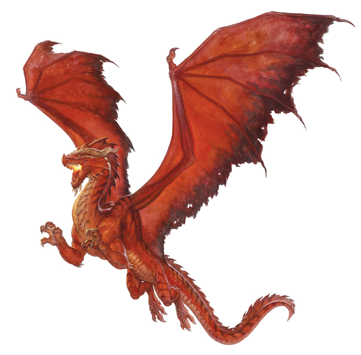 Detail Dragon No Background Nomer 6