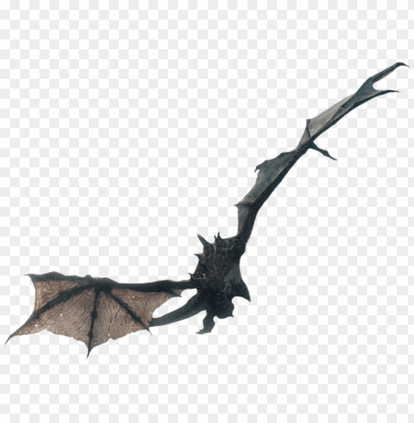 Detail Dragon No Background Nomer 47