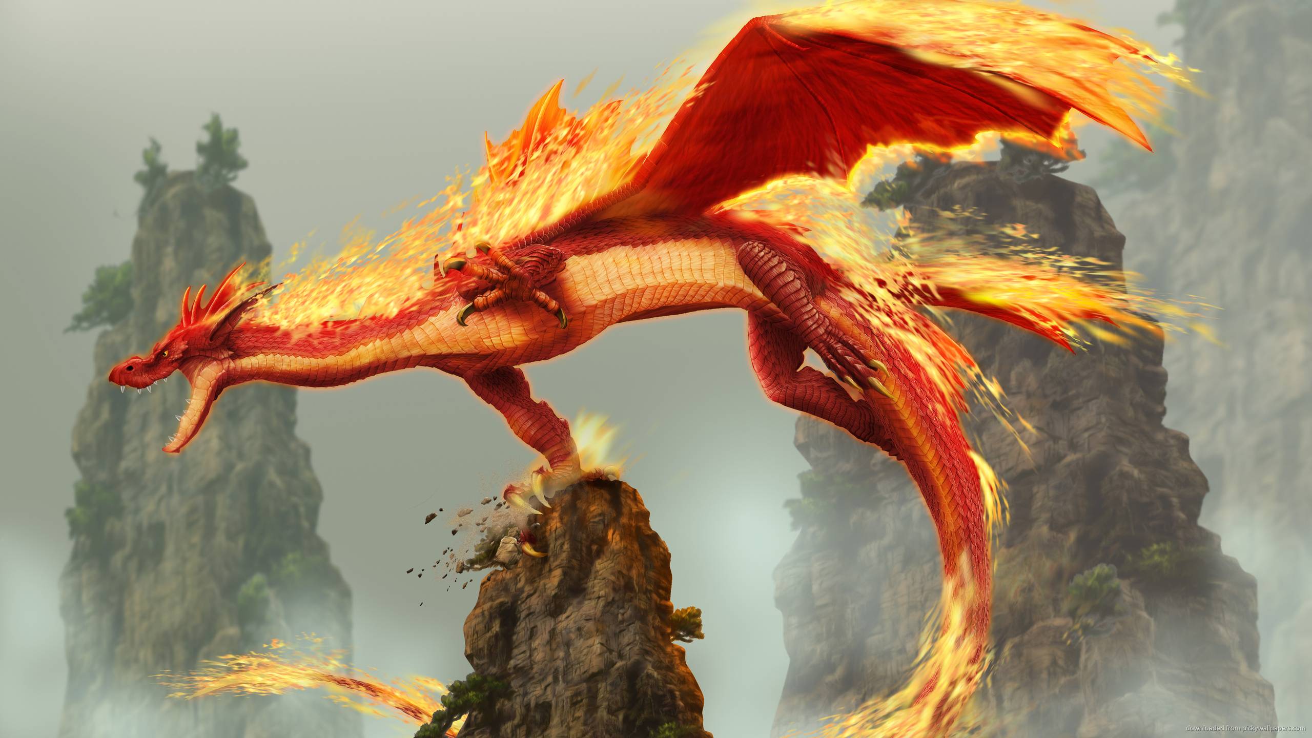 Detail Dragon Photo Download Nomer 17