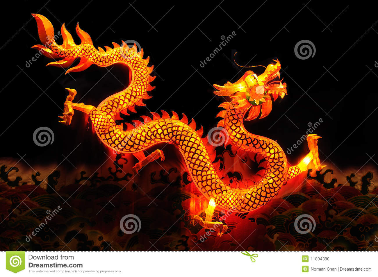 Detail Dragon Photo Download Nomer 18