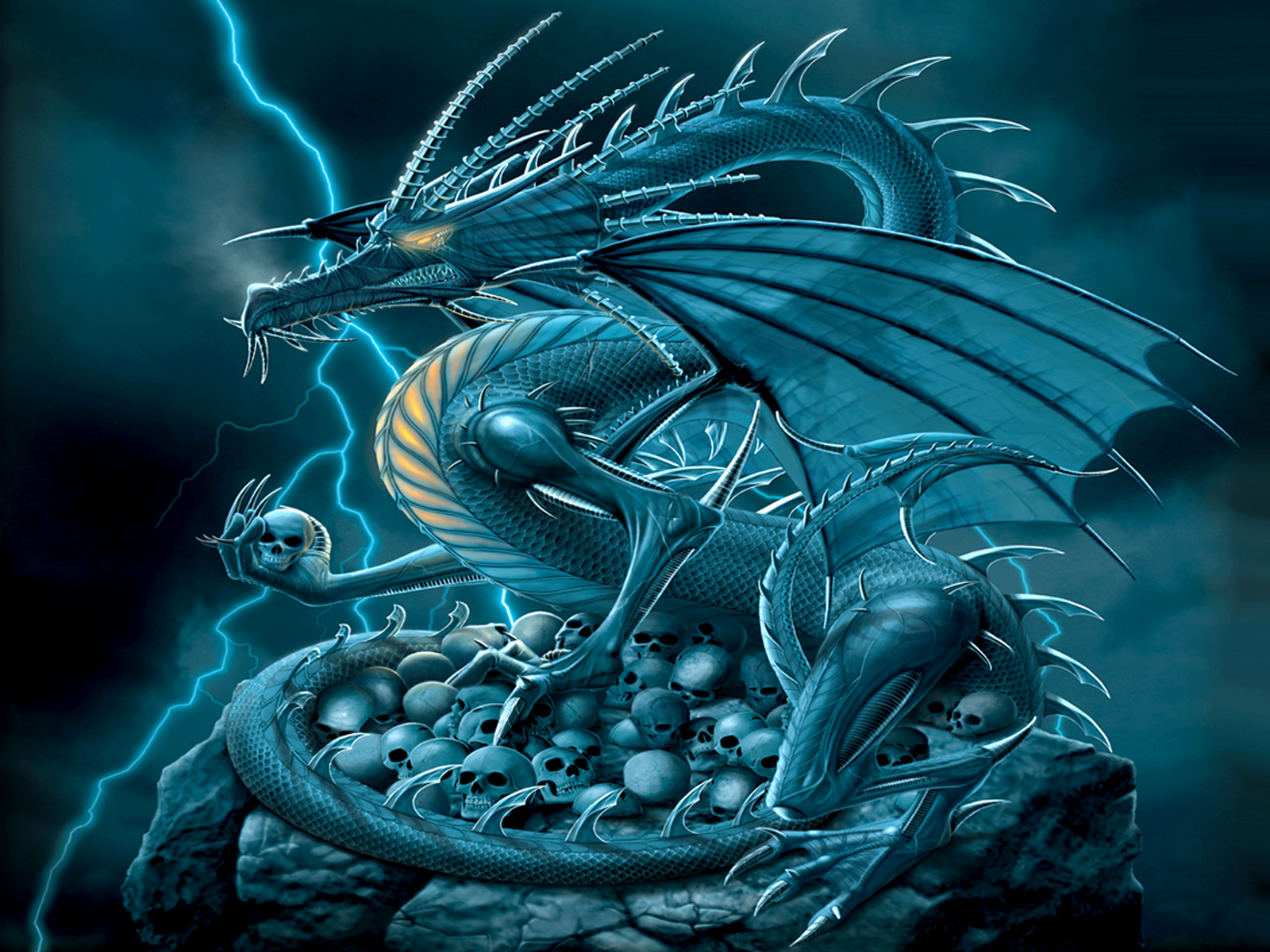 Detail Dragon Photo Download Nomer 5