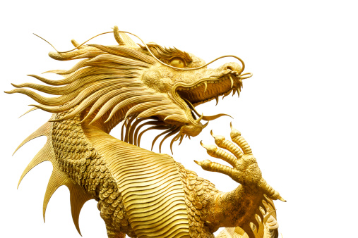 Detail Dragon Pictures To Download Nomer 27