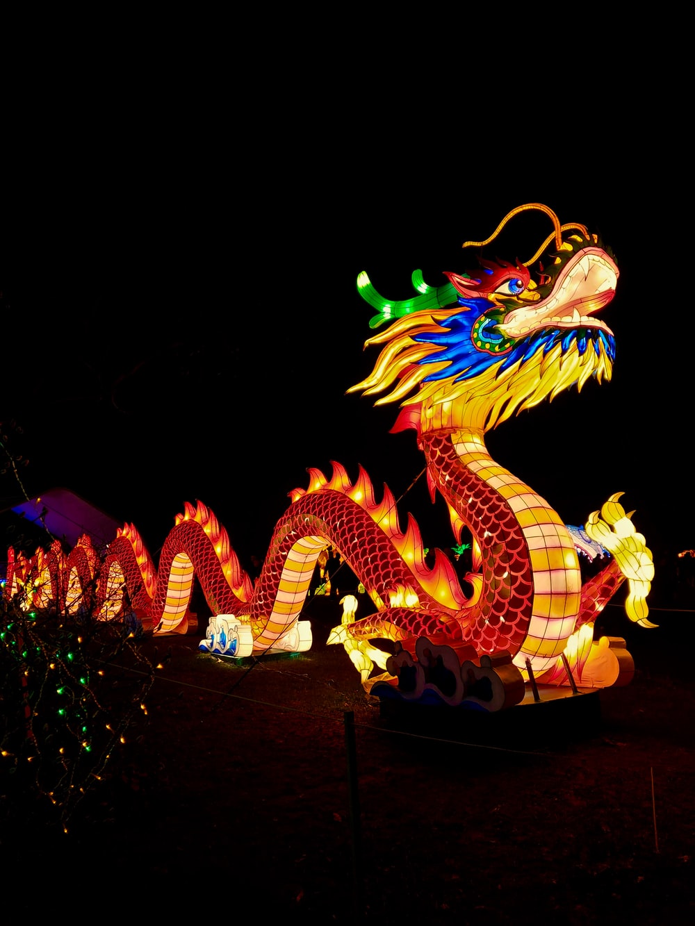 Detail Dragon Pictures To Download Nomer 47