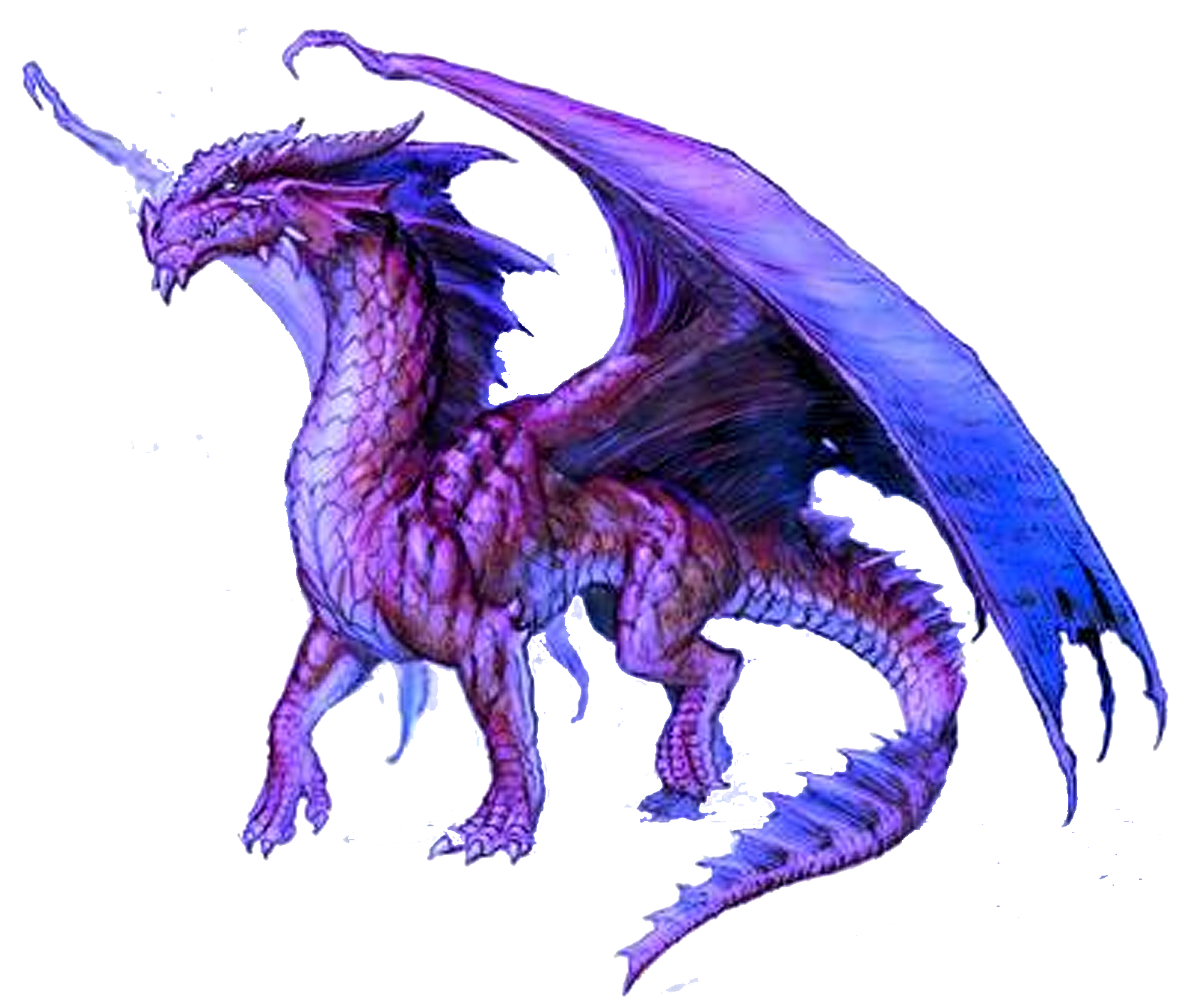 Detail Dragon Png Image Nomer 28