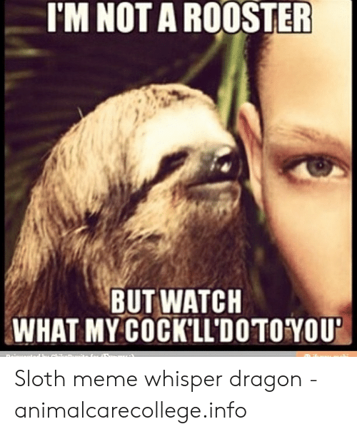 Detail Dragon Sloth Meme Nomer 9
