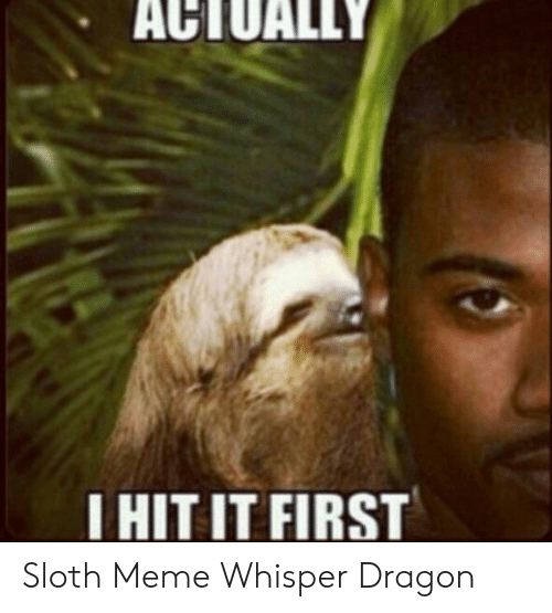 Detail Dragon Sloth Meme Nomer 10