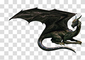 Detail Dragon Transparent Background Nomer 11