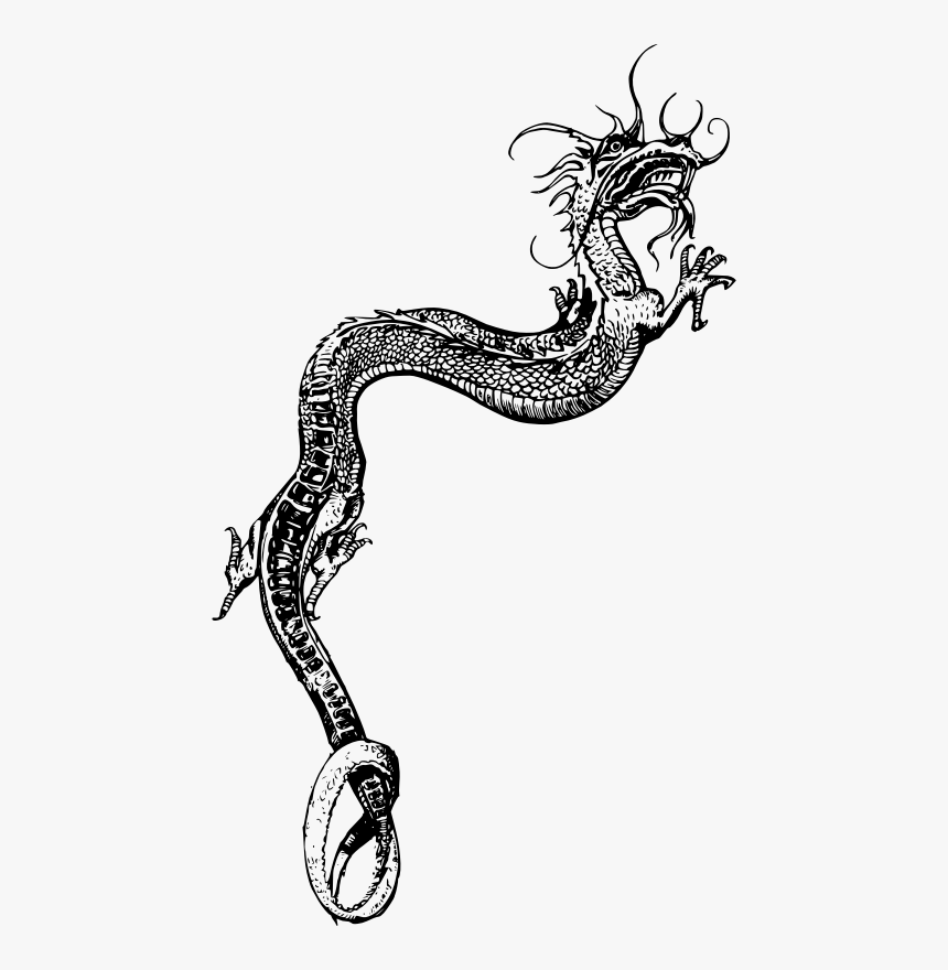 Detail Dragon Transparent Background Nomer 34