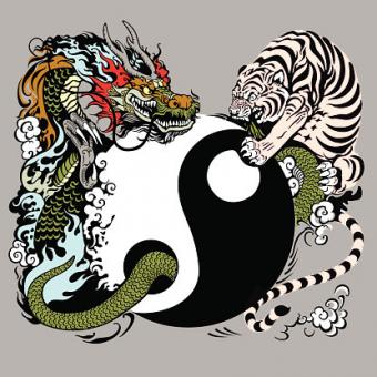 Detail Dragon Vs Tiger Nomer 2