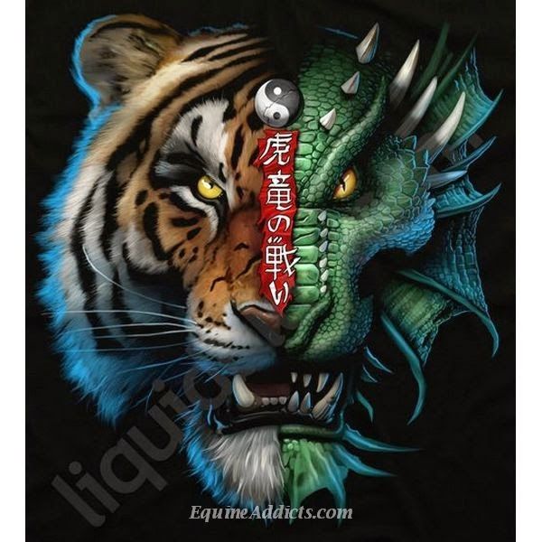 Detail Dragon Vs Tiger Nomer 20