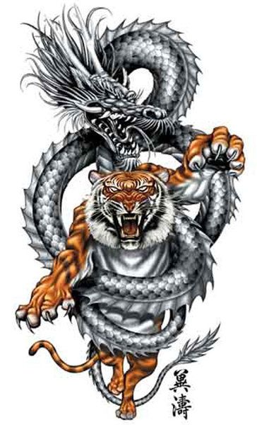 Detail Dragon Vs Tiger Nomer 21