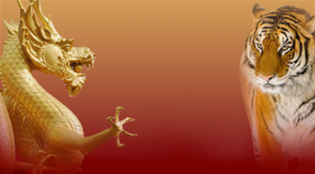 Detail Dragon Vs Tiger Nomer 29