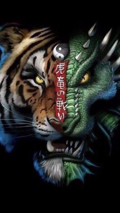 Detail Dragon Vs Tiger Nomer 5