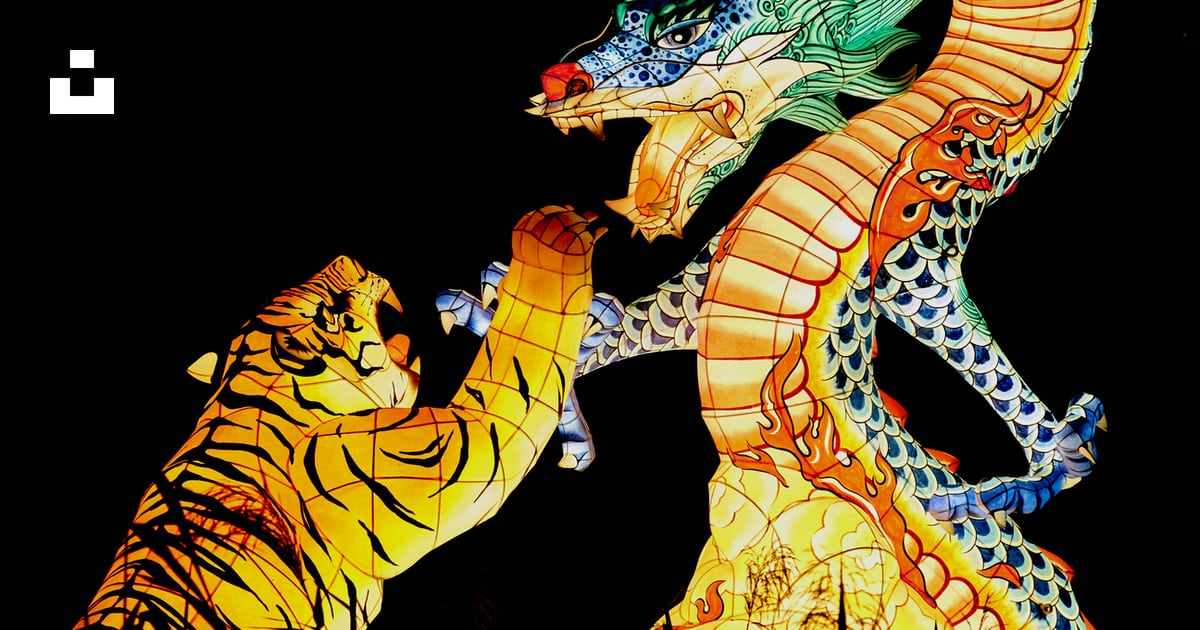 Detail Dragon Vs Tiger Nomer 8