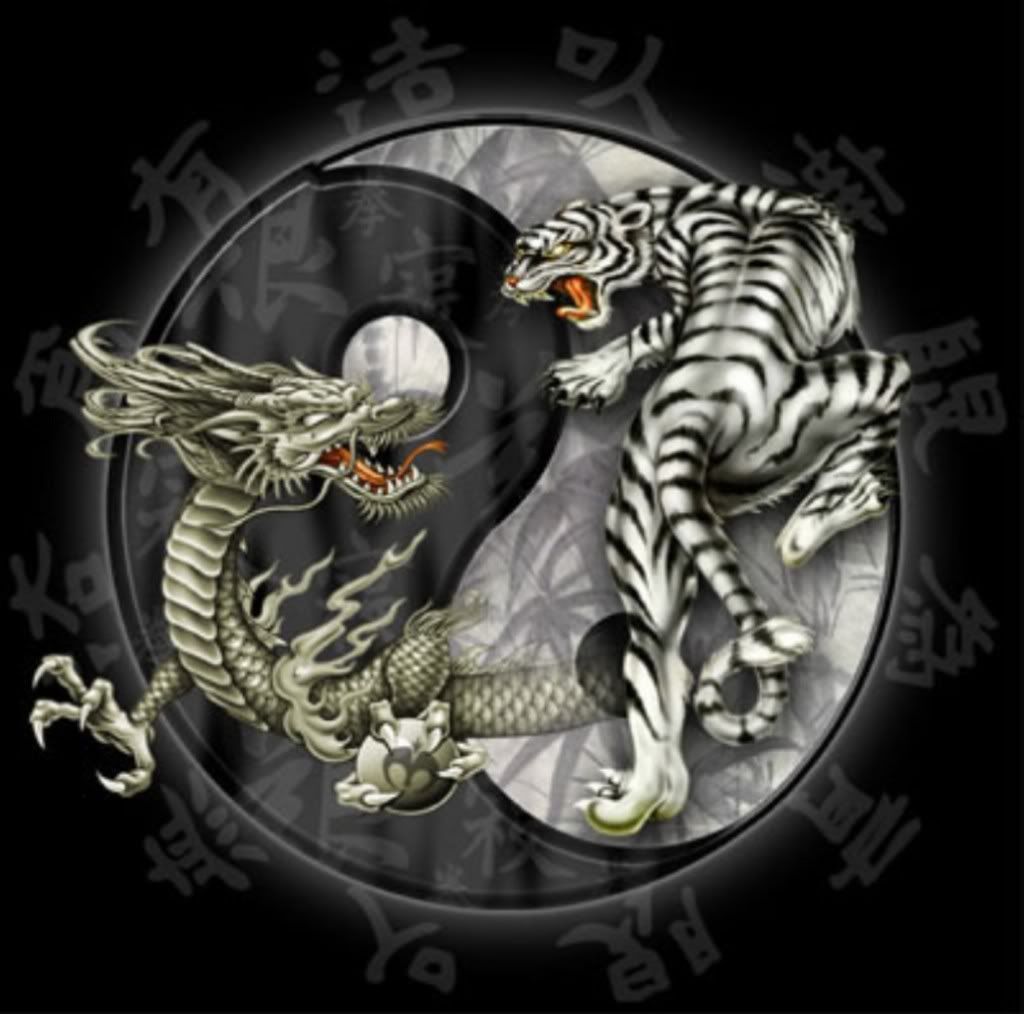 Detail Dragon Vs Tiger Nomer 10