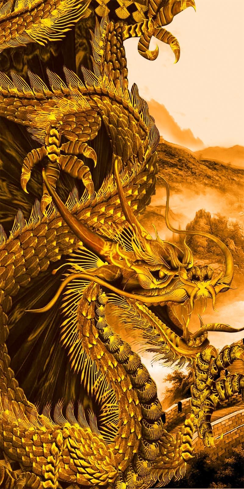 Detail Dragon Wallpaper 3d Nomer 11