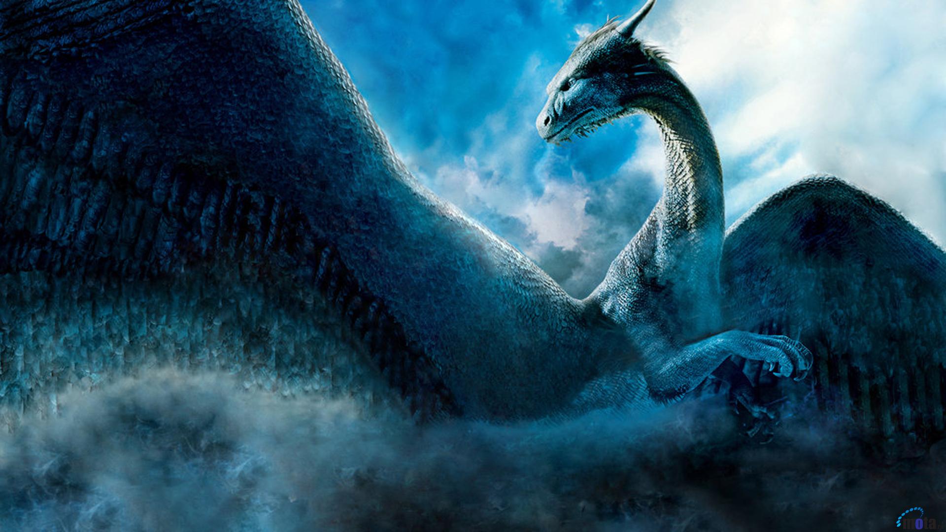 Detail Dragon Wallpaper Hd 1080p Nomer 41