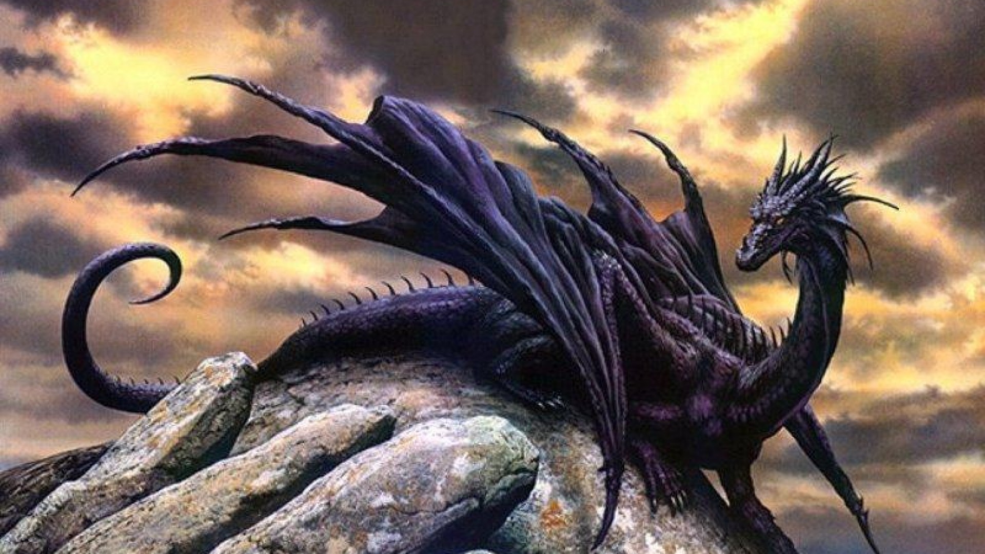 Detail Dragon Wallpaper Hd 1080p Nomer 43