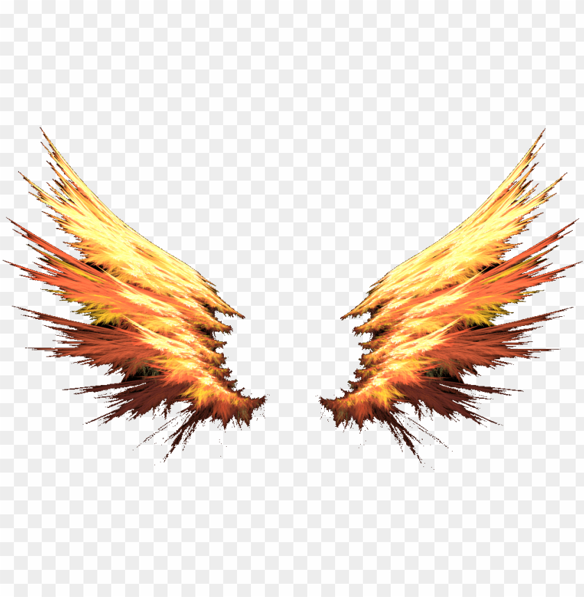Detail Dragon Wings Png Nomer 14
