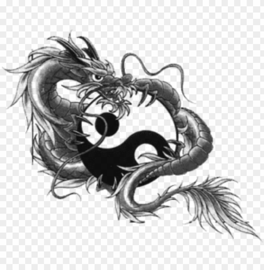 Detail Dragon Yin Yang Nomer 52